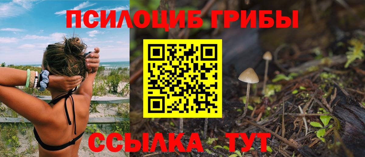 Галлюциногенные грибы Cubensis Нерюнгри